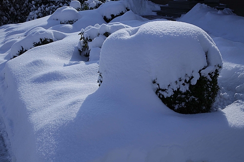 Gärten sind dick bepackt mit Schneemassen