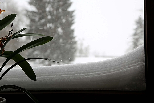 Der Blick aus dem Nordfenster mit Schneekante