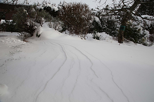 Schneewehen schleifen quasi den Garten: hier fast kein Schnee und woanders hohe Berge