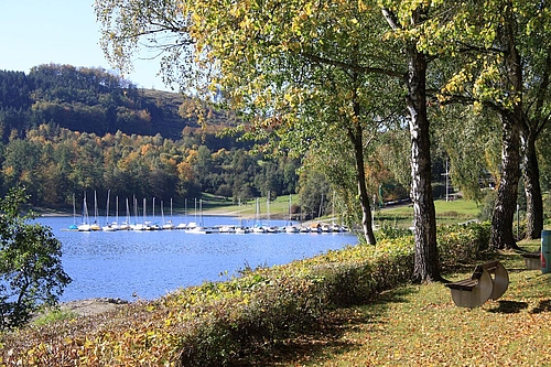 Herbst im Sauerland (Elke Radeke)