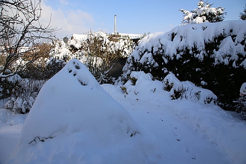Der Buchsbaum im Vordergrund sieht aus wie ein geschaufelter Schneeberg