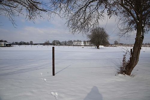 Tierspuren im Schnee