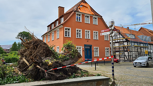 Baumschaden durch Tornado