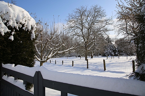 Winter-Idylle in Paderborn-Wewer