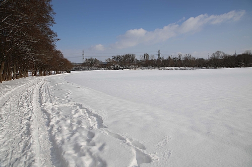 Winterwunderland im Flockdown Paderborns