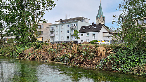 Baumschäden durch Tornado