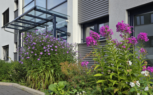 Staudengarten von INCONY